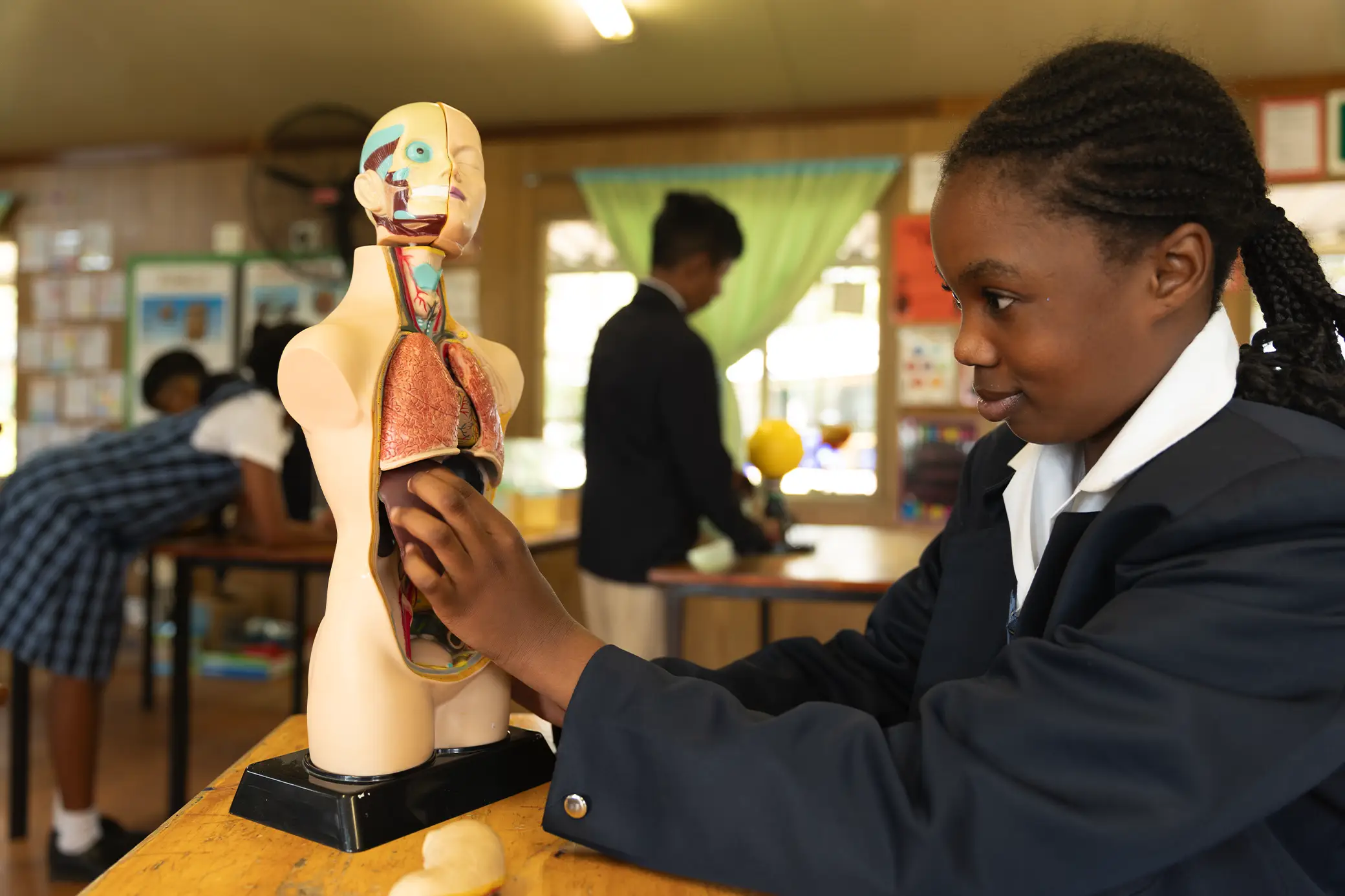 Science class with human anatomy model